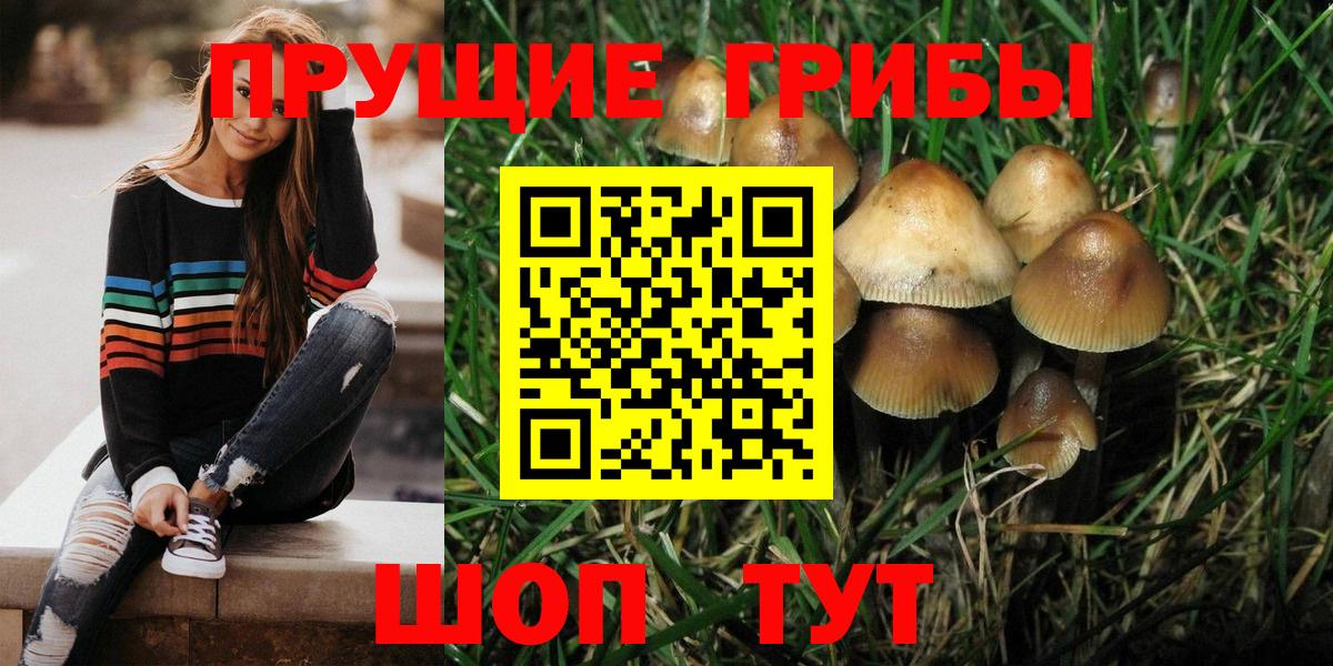 Галлюциногенные грибы Psilocybine cubensis  Вход с VPN  Азнакаево 